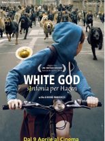 White God White God