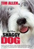 Shaggy Dog - Locandina