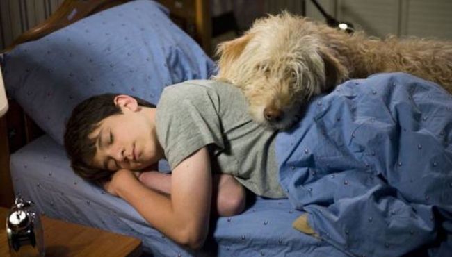 Diario di una schiappa 3 - Vita da cani - Zachary Gordon