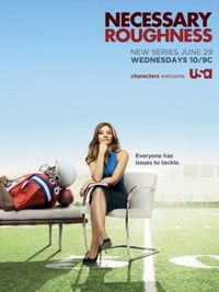 Necessary Roughness Necessary Roughness