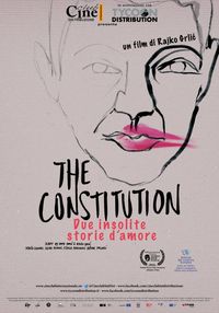 The constitution - Due insolite storie d