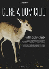 Cure a domicilio