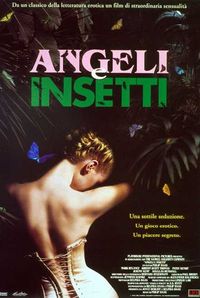 angeliinsetti.JPG angeliinsetti.JPG