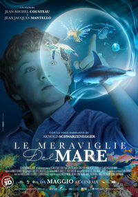Le meraviglie del mare Le meraviglie del mare