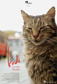 Kedi - La città dei gatti Kedi - La città dei gatti