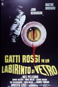 Gatti rossi in un labirinto di vetro Gatti rossi in un labirinto di vetro