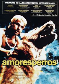 amores_perros.jpg amores_perros.jpg