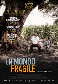 Un mondo fragile Un mondo fragile