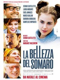 La bellezza del somaro - Locandina