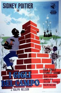 I gigli del campo I gigli del campo