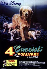 4 cuccioli da salvare 4 cuccioli da salvare