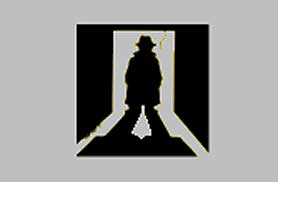 Noir logo