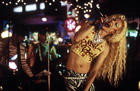 hedwig