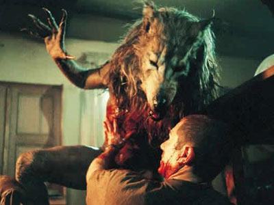 Dog soldiers