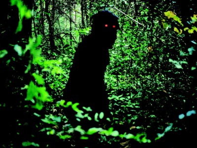 Lo zio Boonmee che si ricorda le vite precedenti