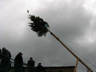 Le quattro volte