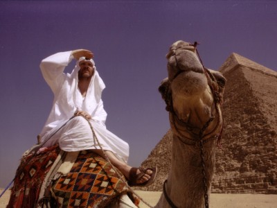 Che fine ha fatto Osama Bin Laden?