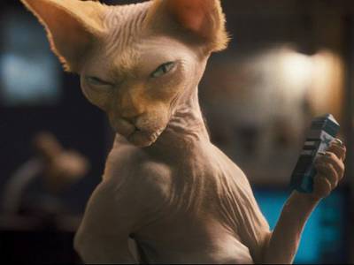 Come cani e gatti: la vendetta di Kitty