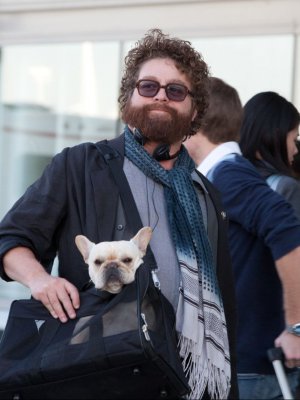 Zach Galifianakis in Parto col folle