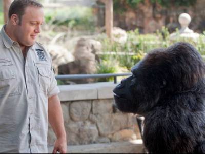 Kevin James è Il signore dello zoo