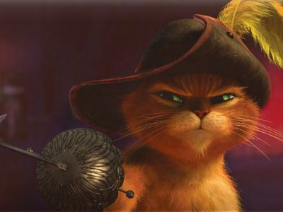 Il Gatto Banderas