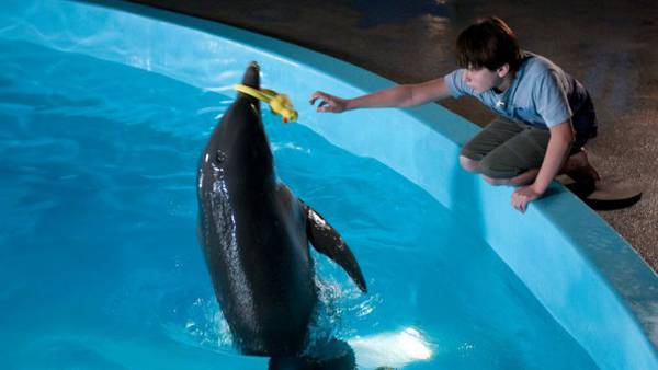 L'incredibile storia di Winter il delfino, la recensione - Nathan Gamble in una scena