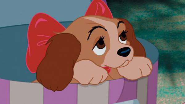 Disney, Lilli e il vagabondo in DVD e Blu Ray