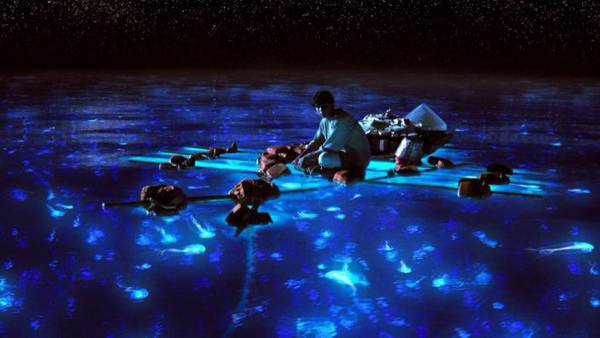 Vita di Pi recensione Ang Lee - Una scena del film