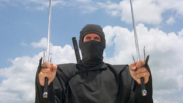 Wardian sag skrot Clip sommerfugl Dieci film sui ninja da vedere prima di morire- Film.it