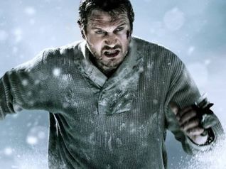 The Grey - Liam Neeson