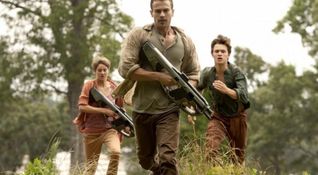 Insurgent