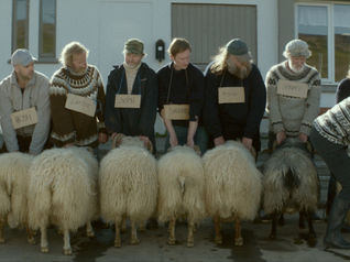 Rams - Storia di due fratelli e otto pecore