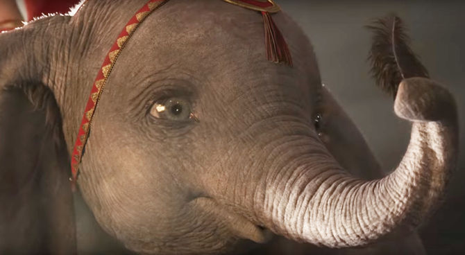 Dumbo