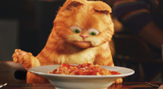 Garfield: il film