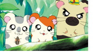 Hamtaro