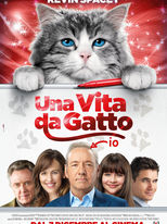 Una vita da gatto