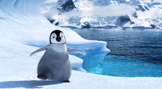 Happy Feet