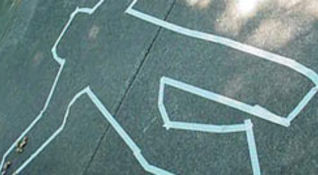 Fox Crime