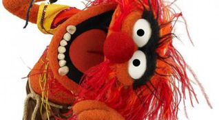 I Muppet - Animal