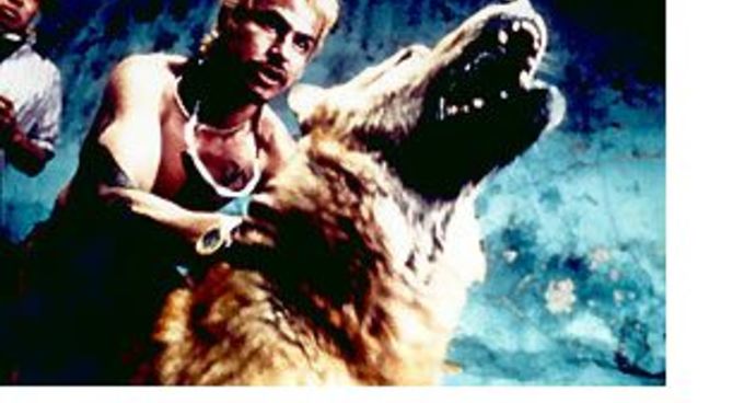 Amores Perros