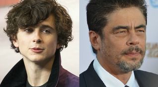 Timothée Chalamet, Benicio Del Toro