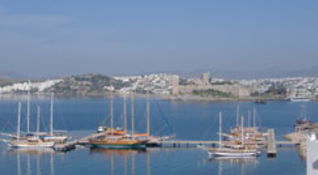 blue voyage