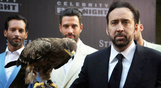 Nicolas Cage