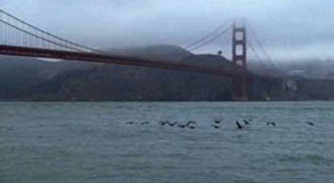 The Bridge