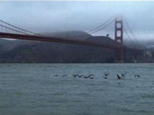 The Bridge