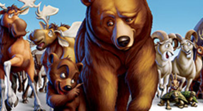 Koda, fratello orso
