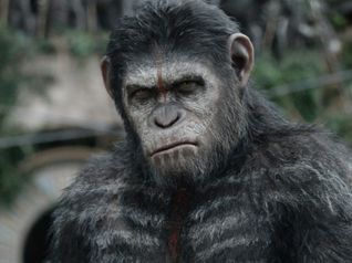 Apes Revolution - Il pianeta delle scimmie