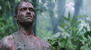 Predator