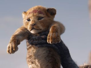 Il Re Leone