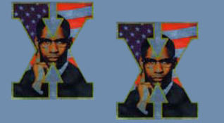 Malcolm X, DVD